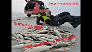 видео: ТАКАЯ РЫБАЛКА БЫВАЕТ ЛИШЬ РАЗ! Рыбалка 2022. картинка: ТАКАЯ РЫБАЛКА БЫВАЕТ ЛИШЬ РАЗ! Рыбалка 2022.