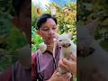 Food ASMR 🥚🍄🟫🐟 | With cute cat🐱✨ #shorts #reverse #food #funny #cute #cat #satisfying #trending