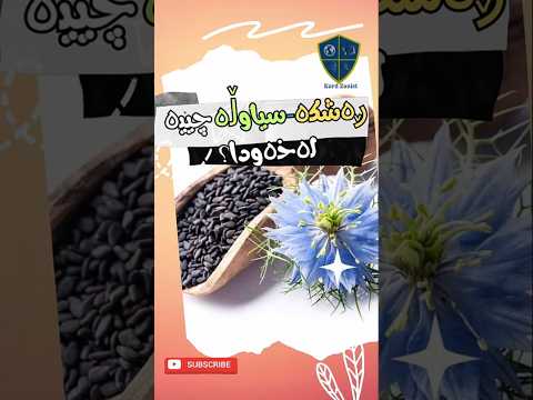 ڕەشکە سیاوڵە چییە لەخەودا