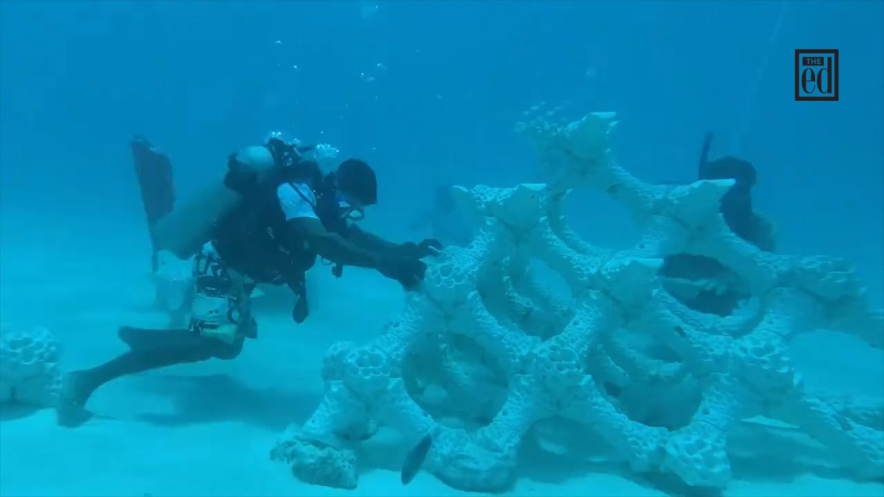 Coral reef skeletons crafted from 3D-printed calcium carbonate