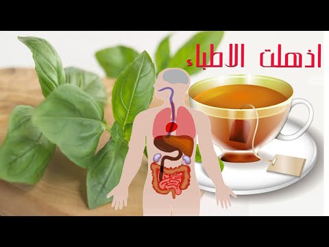 فيديو: خصائص مفيدة وسحرية للريحان