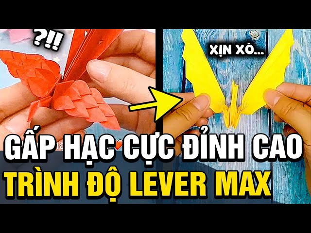 GẤP HẠC đã lên một tầm cao mới, đủ mọi đẳng cấp khác nhau khiến cđm TRẦM TRỒ | TÁM TV class=