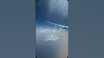 الم يروا انا جعلنا الليل تلاوه مع الشيخ ياسر الدوسري ♥️♥️
