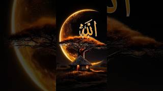 Ya Rab 🌙🕋💔🤲 #Prophetﷺ ✨❤️ #AllahKaNaam 🕊🌟 #IslamicVibes 💫👍 #ShortsOnYoutube 🔥🚀 #NowTrending 🌙💖