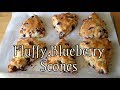 Sour Cream Blueberry Scones Recipe | Peaches and Cream