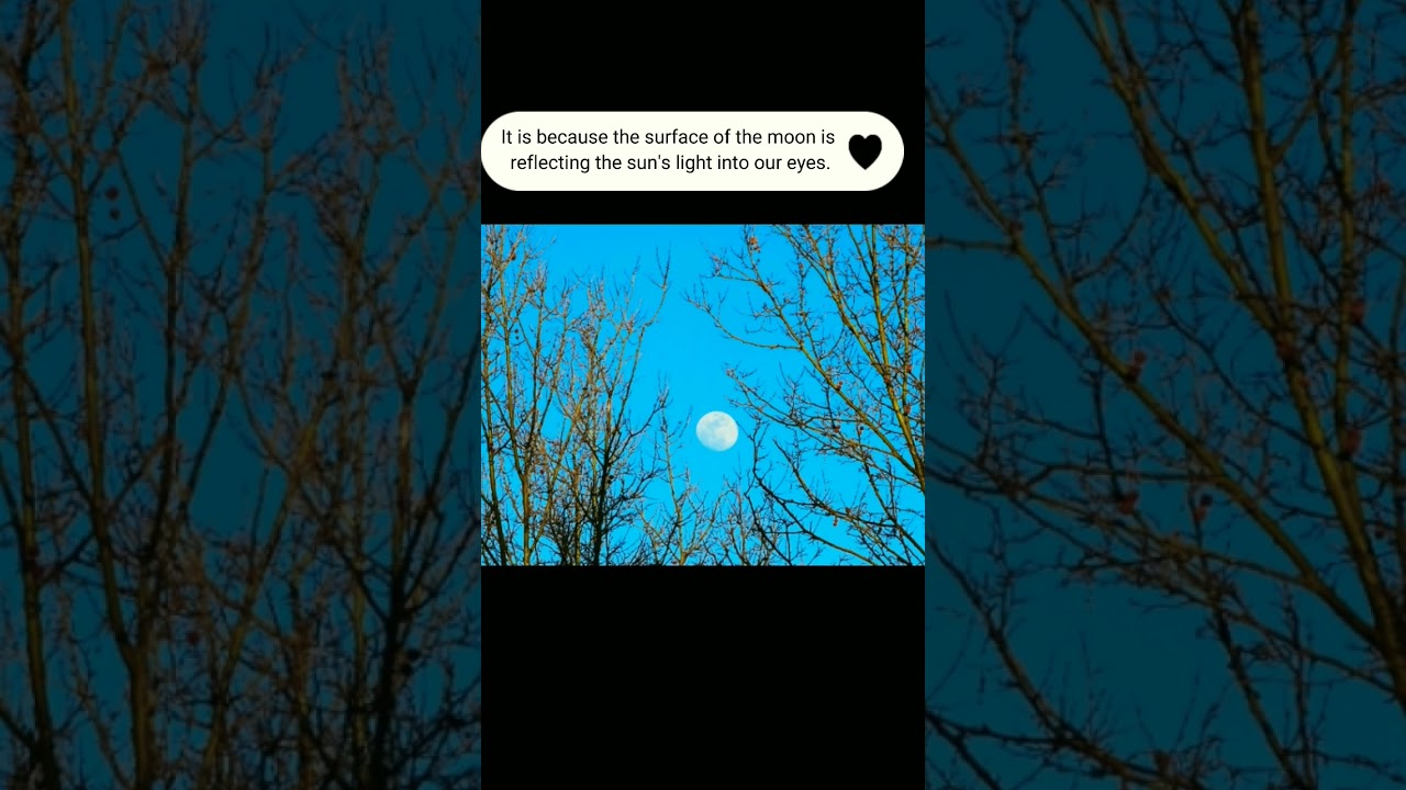 Why does the moon appear in the day time? || Science Facts