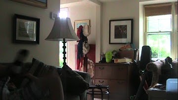 Explosion Test - Windows Movie Maker