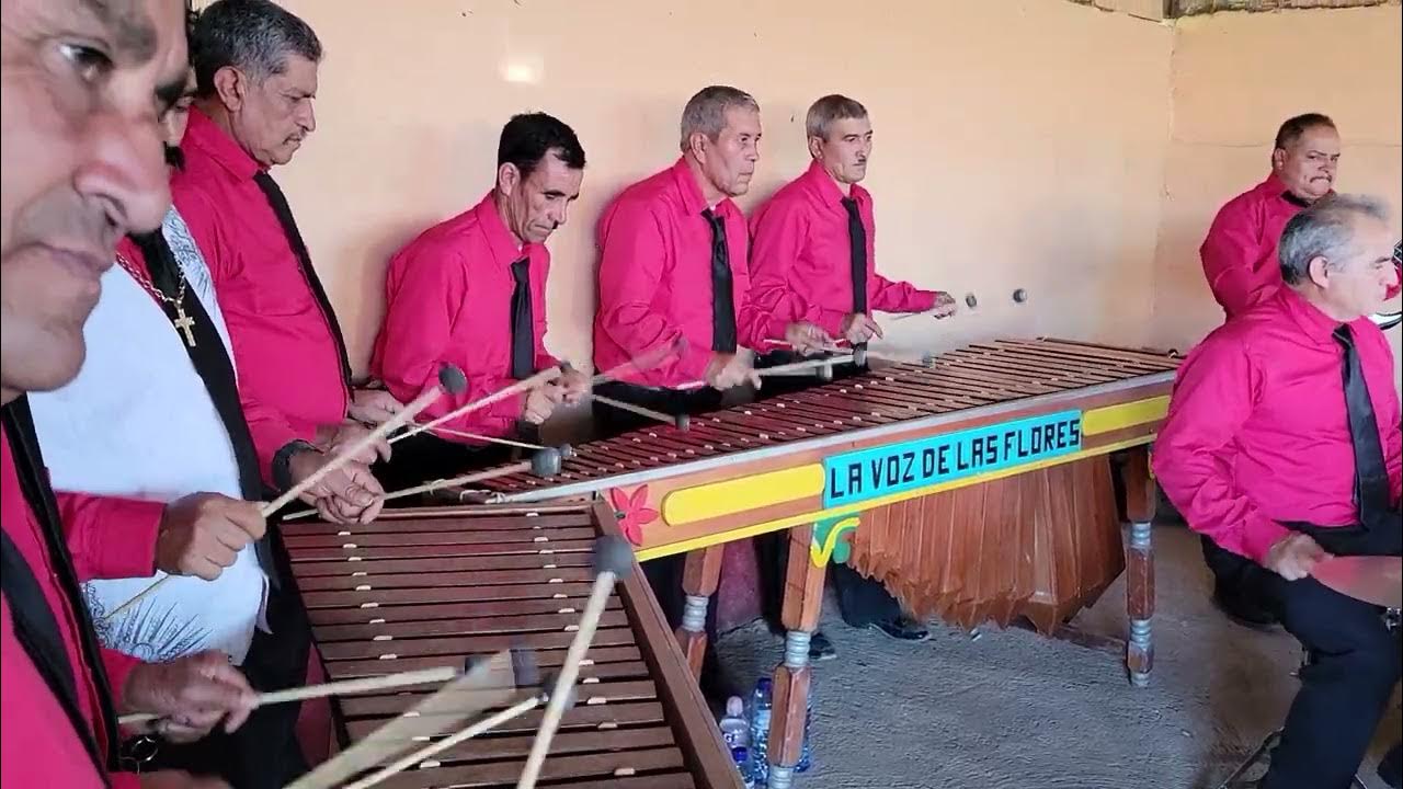 baile en san jose las flores marimba voz de las 💐 YouTube