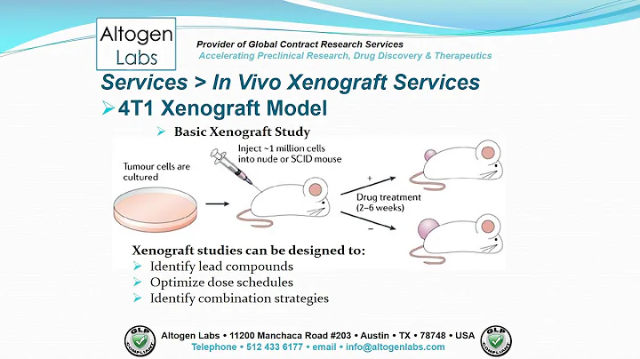 Altogen Labs 4T1 Breast Cancer Xenograft