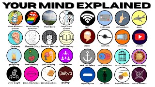 Everything About Your Mind You Should Know