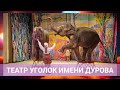 Театр Уголок Дедушки Дурова | По следам Снежной Королевы