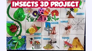 Insects project 3d Insects project for school how to make Insect project 3d model of insects