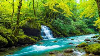 Relaxing Music For Stress Relief, Anxiety and Depressive States • Heal Mind, Body and Soul