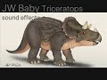 JW Baby Triceratops sound effects