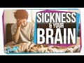 Immune System and Social Behavior Quiz
