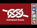 Animated knots