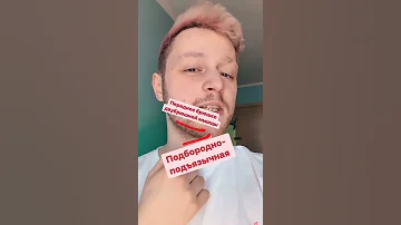 Производные первой жаберной дуги