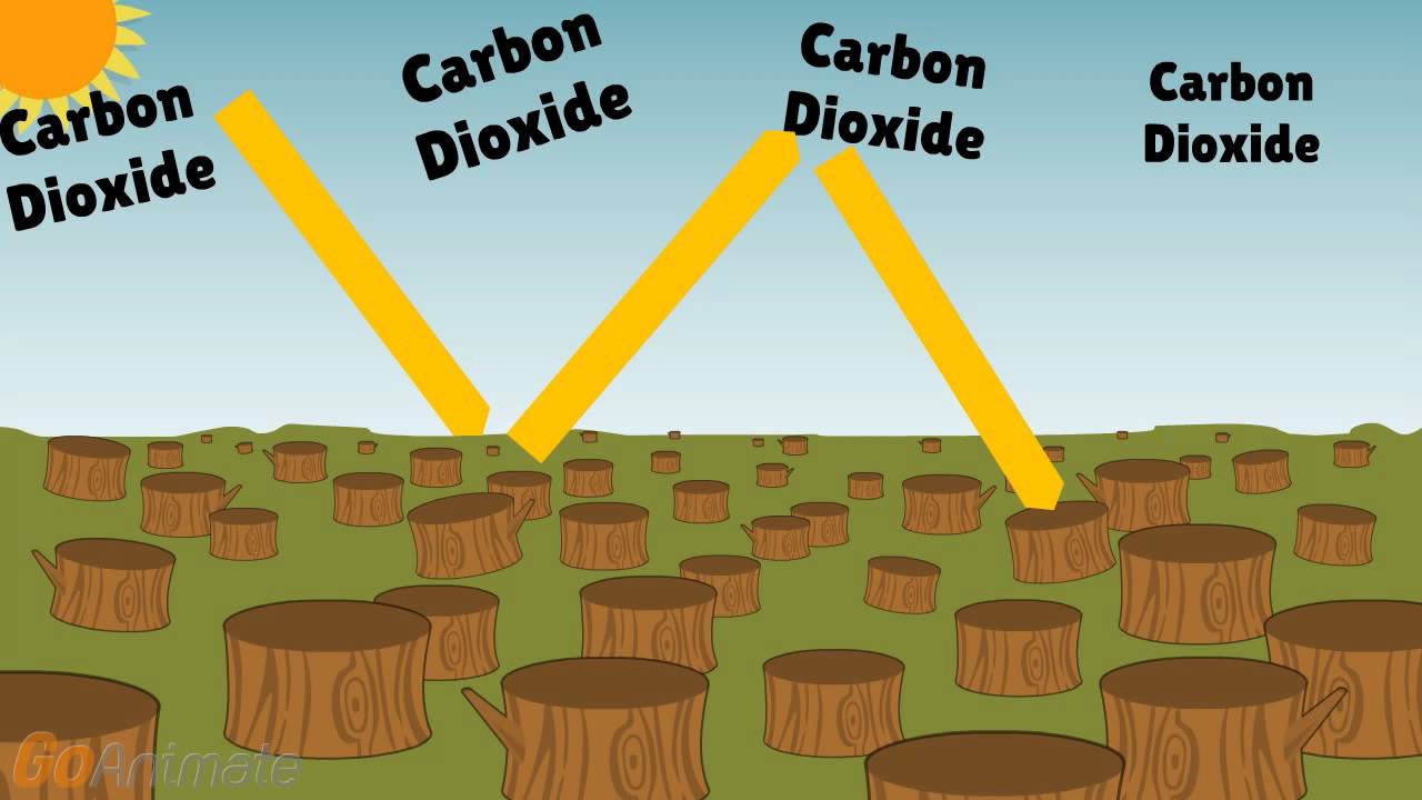 Image result for how does deforestation affect climate change