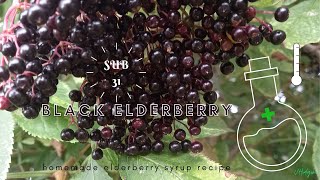 Black elderberry syrup For cough and sore throat.