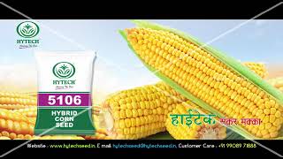 Variety 5106 Maize, Hytech Seeds company