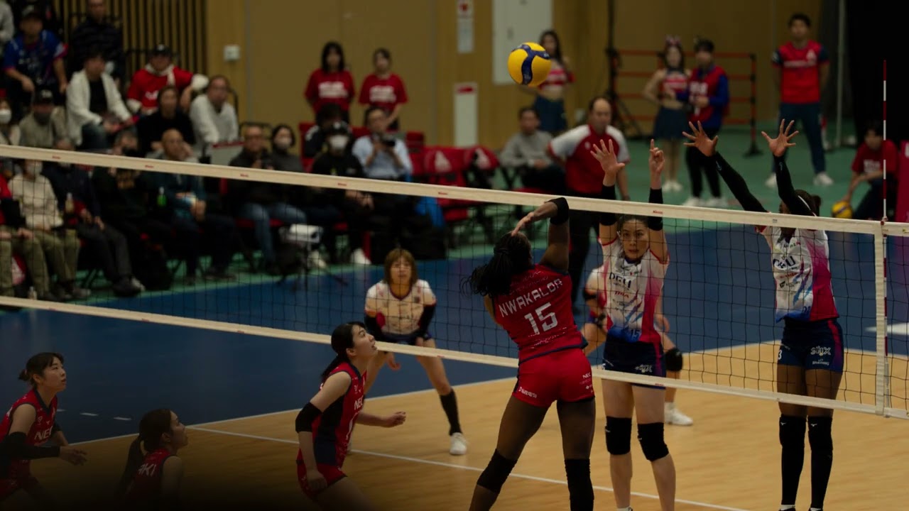 NECレッドロケッツ川崎 vs PFUブルーキャッツ石川かほく 【撮影画像全見せ スライドショー(1/4)】カルッツかわさき 2025/11/15