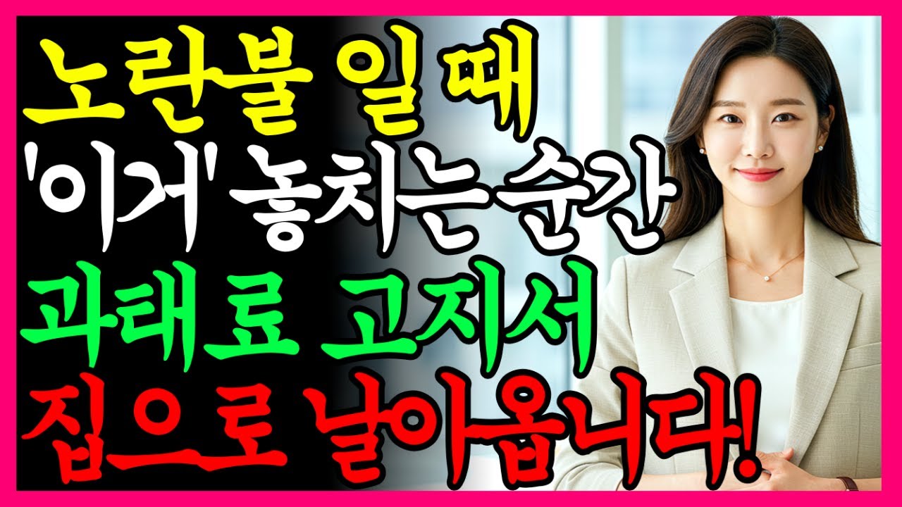 노란불에서 정지했는데 단속? 신호위반 카메라가 찍는 진짜 순간|루프센서·속도 오차·eFINE 확인법 총정리|시니어 운전자 필수정보
