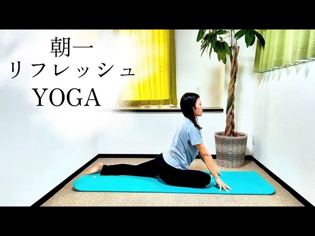 買えるのはディノスだけ！美姿勢が目指せる 進化版ストレッチ用ポール