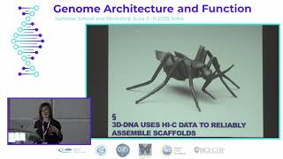 Olga Dudchenko, Baylor College of Medicine, USA