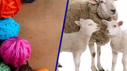 NCERT CBSE Class 8 Science Chapter 3 Synthetic Fibres and Plastics Part 1