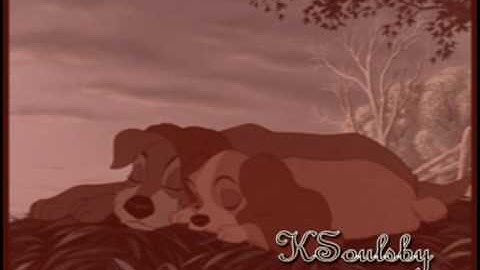 Fireflies MEP, My Part