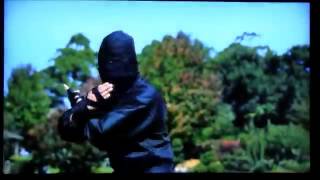 Fruit Ninja Kinect E3 Trailer760