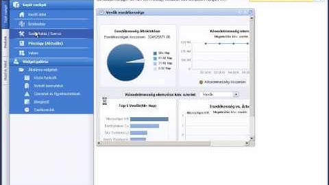 SAP Business One 8.8 CockPit At a Glance