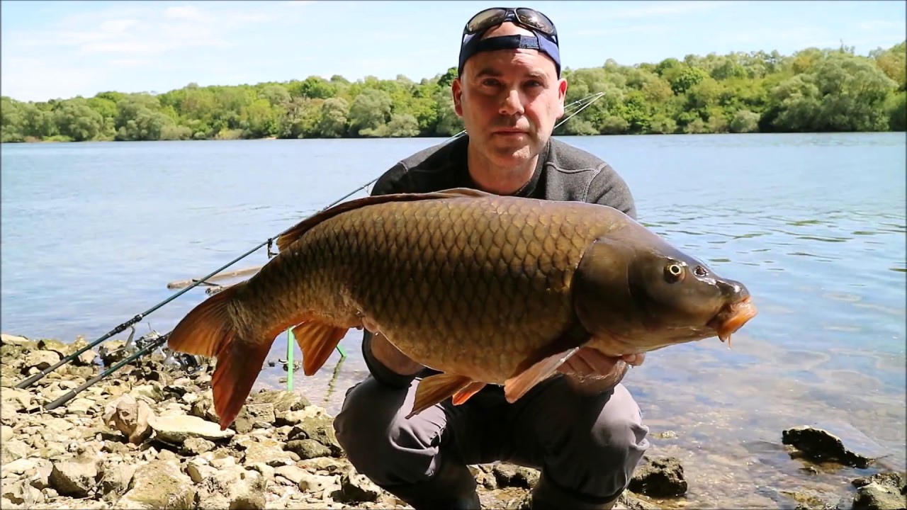 The River Seine Carpfishing Youtube