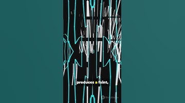 Why Do Some People See Afterimages?