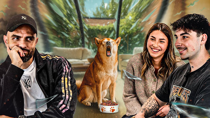 "Mon Shiba a un vrai PROBLÈME avec la NOURRITURE !" Shiba - Un Café et C’est Réglé Ep 12