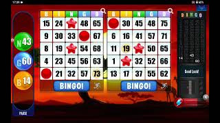 Bingo 😄💞 Super Fun Game 🤩