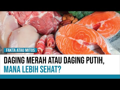 Video: Apakah ikan tergolong daging?