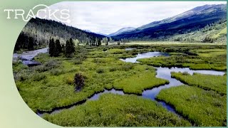 Exploring The Waterways And Glaciers Of British Columbia | Uncharted Canada | TRACKS