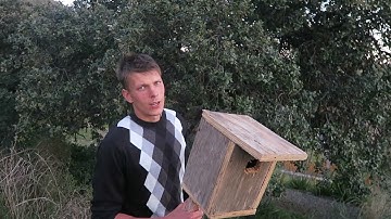 Building a quick, simple bird house and puting it up on the tree