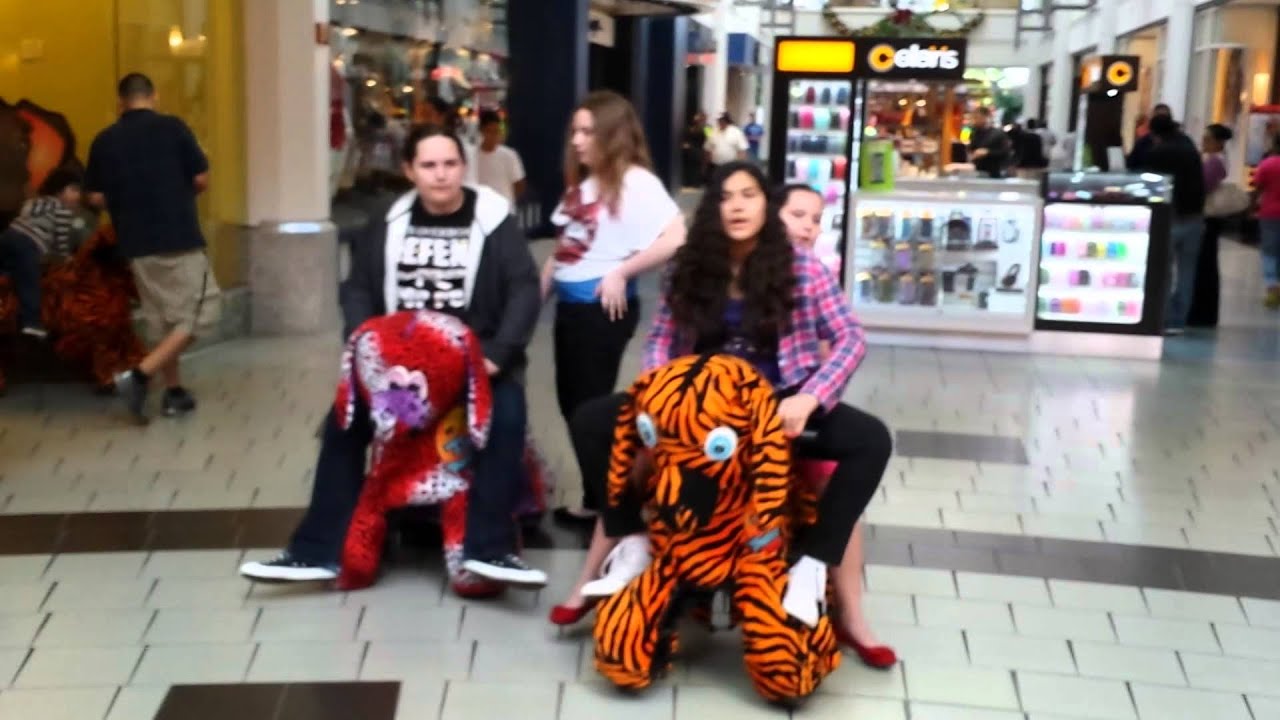 animal ride in vista ridge mall YouTube