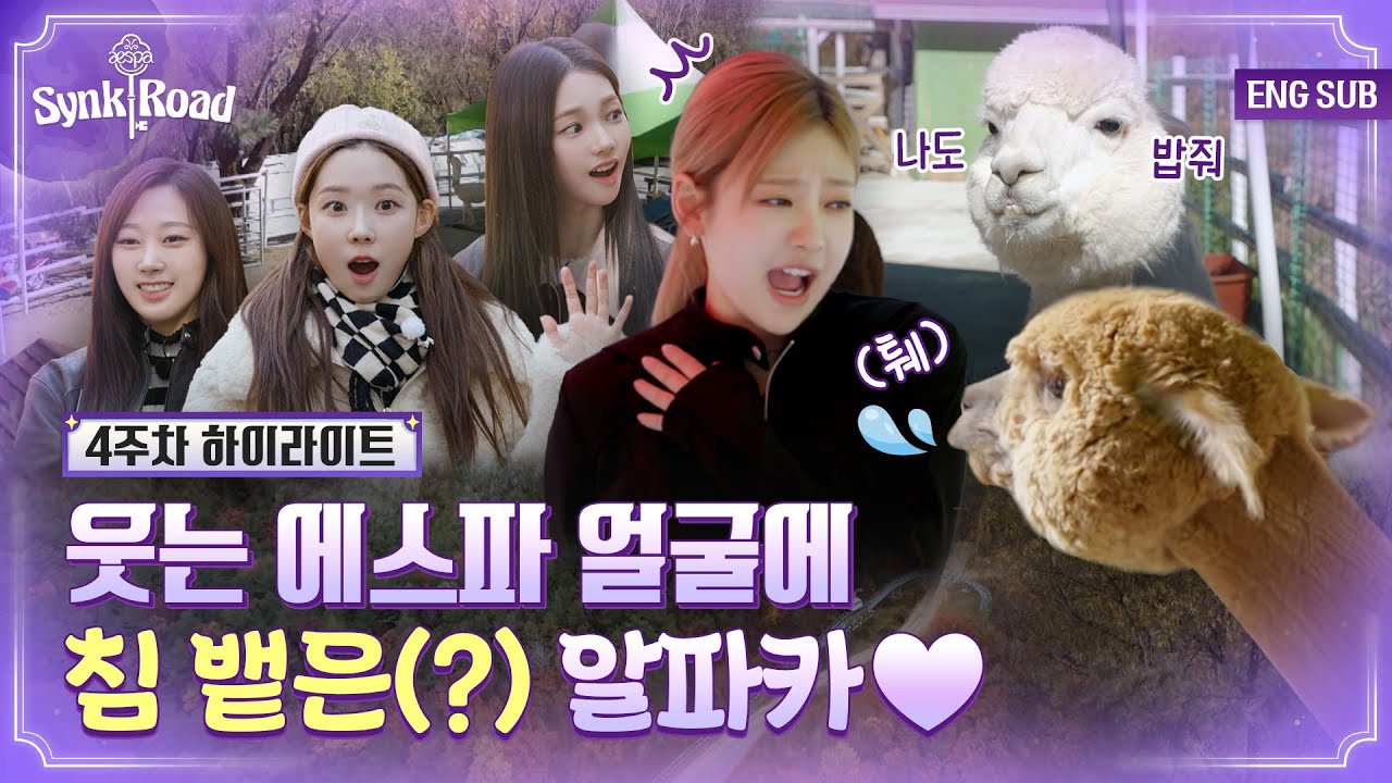 [#에스파의싱크로드] 에스파와 알파카의 서로를 향한 침💦 튀기는 우정 현장 대공개🦙