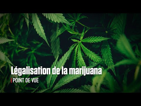 Vidéo: Voici Ce Que La Plupart Des Gens Ne Comprennent Pas à Propos De La Légalisation Du Cannabis - Réseau Matador