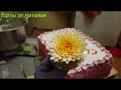 История одной хризантемы