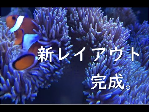 半リセット＆レイアウト変更しました。【海水魚水槽】【サンゴ】 - YouTube