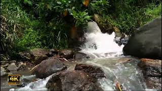 bird therapy water sounds - the sound of fast flowing water - lullaby sounds #watersounds