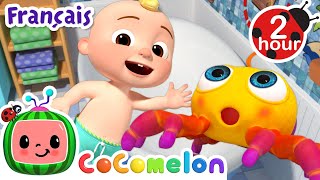 Laraignée Chansons Pour Bébés Cocomelon Le Coin Des Animaux De Jj - Comptines