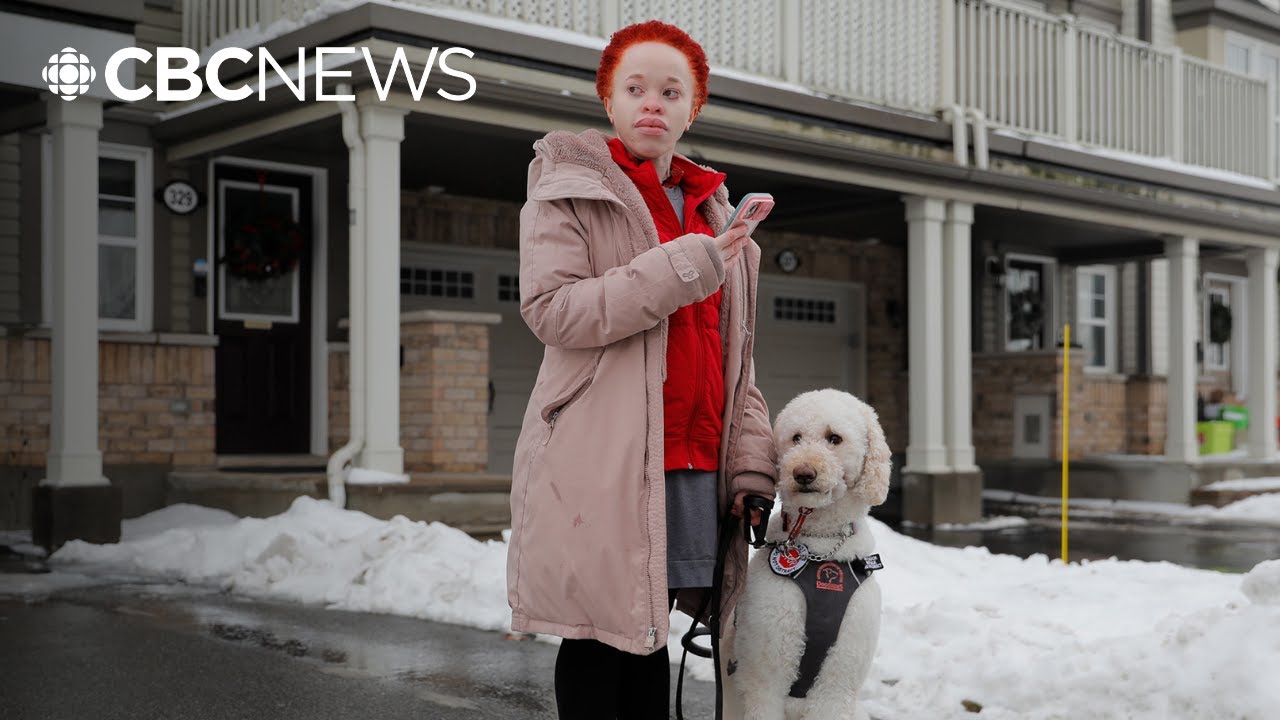 Uber drivers called out for leaving service dogs at curb | Go Public