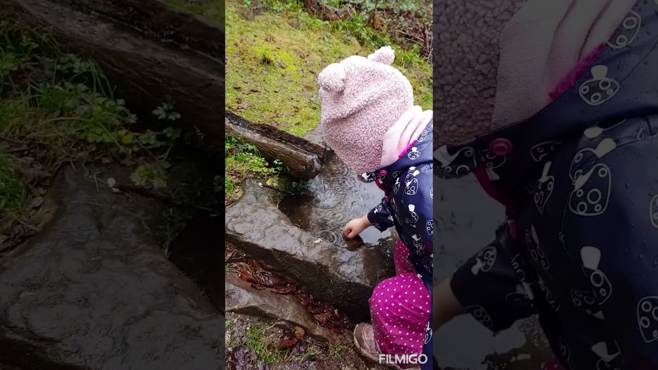 Ellbachsee Aussichtsplattform