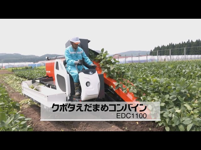 クボタえだまめコンバイン EDC1100 - YouTube