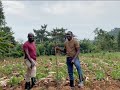 Episode 3: Legal considerations that you MUST know as you venture into Agroecology (Part One)